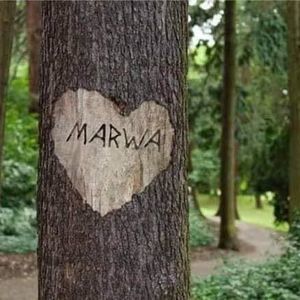 Meet your Posher, Marwa